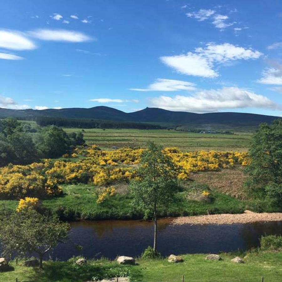 Feughside Guesthouse Banchory Εξωτερικό φωτογραφία
